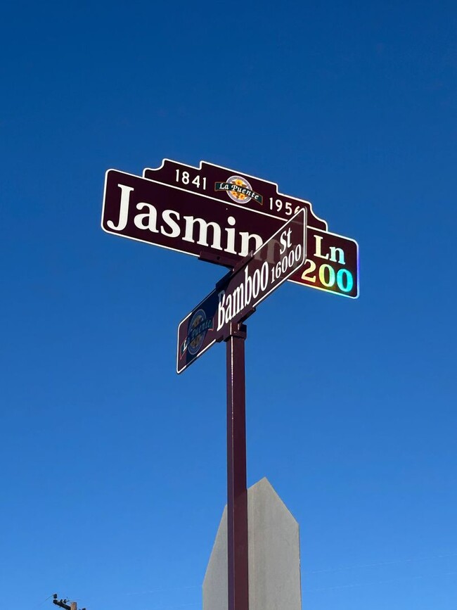 206 Jasmine Ln in La Puente, CA - Foto de edificio - Building Photo