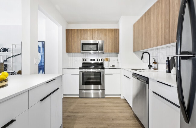 1250 N La Salle Dr in Chicago, IL - Foto de edificio - Building Photo