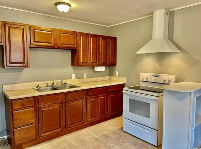 309 E 12th St in Judsonia, AR - Building Photo - Building Photo