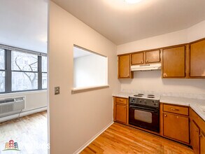 1446 N Dearborn St in Chicago, IL - Building Photo - Building Photo