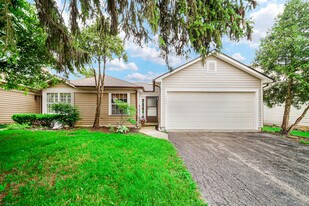 1893 Appaloosa Dr in Naperville, IL - Building Photo