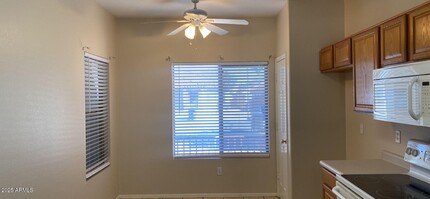 13851 W Tara Ln in Surprise, AZ - Building Photo - Building Photo