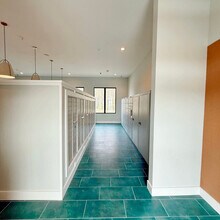 Cobalt in Lutz, FL - Building Photo - Building Photo