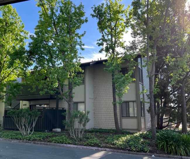 1493 Marchbanks Dr, Unit #4 in Walnut Creek, CA - Building Photo - Building Photo