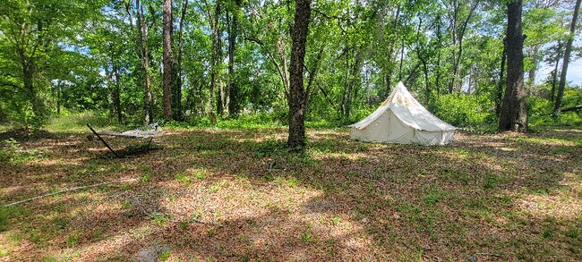 515 SW Regiment Pl in Lake City, FL - Building Photo - Building Photo