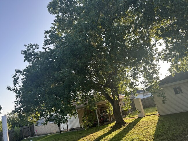 property at 209 Cougar Dr