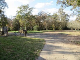 8716 Club House Dr in Willis, TX - Building Photo