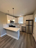 3939 N Janssen Ave in Chicago, IL - Building Photo