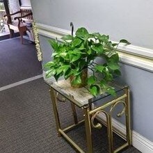 135 N Swall Dr in West Hollywood, CA - Building Photo - Building Photo