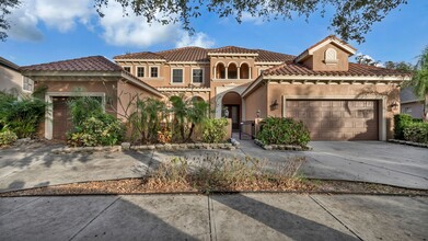 19214 Climbing Aster Dr in Tampa, FL - Building Photo - Building Photo