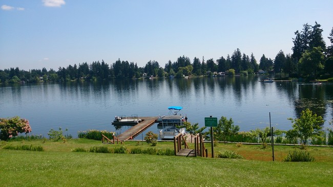 Lakeside Terrace Mobile Home Park in Spanaway, WA - Building Photo - Other