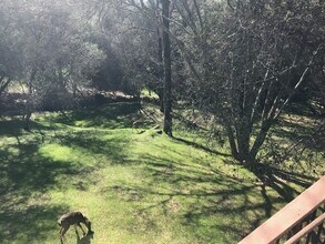 12760 Golden Trout Way in Penn Valley, CA - Building Photo - Building Photo