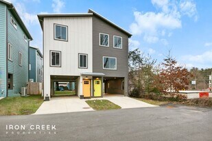 32 E Citra St in Asheville, NC - Building Photo