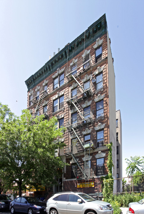 159 Ellery St in Brooklyn, NY - Building Photo