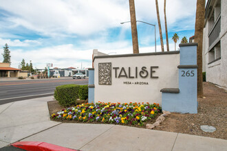 Talise Apartments in Mesa, AZ - Building Photo - Building Photo