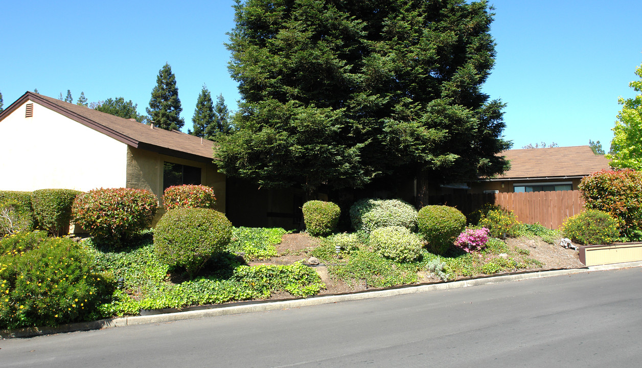 Chilpancingo Vista Apartments in Pleasant Hill, CA - Building Photo