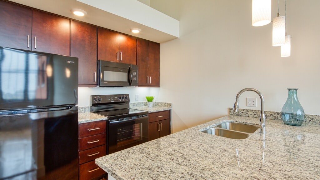 Petersburg ArtistSpace Lofts Apartments in Petersburg, VA