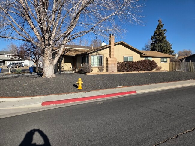 1169 Meadow Ct in Gardnerville, NV - Building Photo - Building Photo