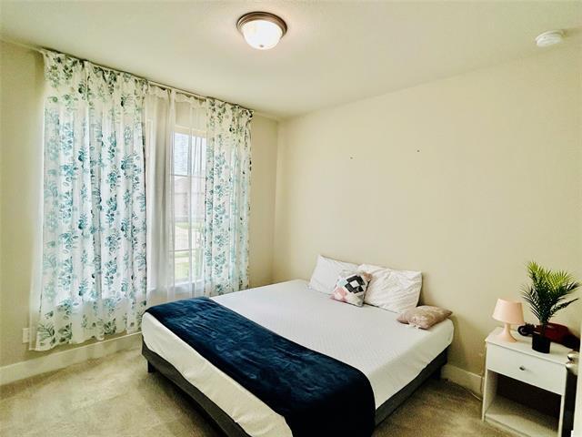 1232 Xeresa Dr in Little Elm, TX - Building Photo - Building Photo