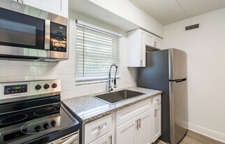 Villas at City Center in Temple Terrace, FL - Building Photo