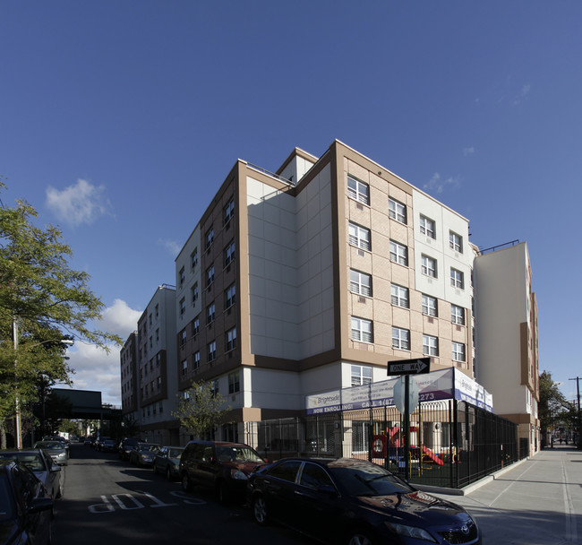 New Lots Plaza Apartments in Brooklyn, NY - Building Photo - Building Photo