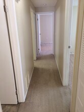 129 Camphor Cir in Oldsmar, FL - Building Photo - Building Photo