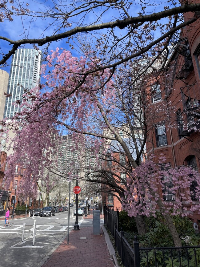 94 Saint Botolph St, Unit 7 in Boston, MA - Foto de edificio - Building Photo