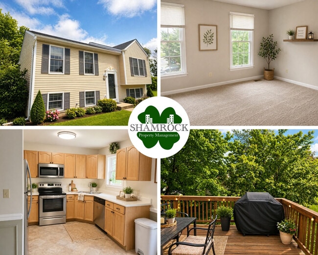 property at 26 Zanella Dr