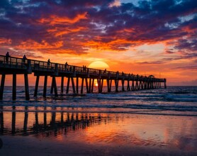 3657 Cathedral Cove Rd in Jacksonville, FL - Building Photo - Building Photo