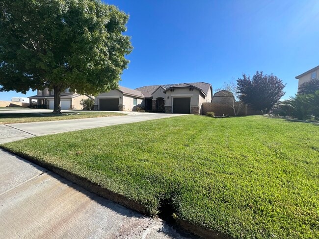 41530 Yew St in Quartz Hill, CA - Building Photo - Building Photo