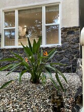 7602 Lexington Ave, Unit 12 in West Hollywood, CA - Foto de edificio - Building Photo