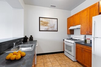 Park Boulevard 2B in Chicago, IL - Foto de edificio - Building Photo