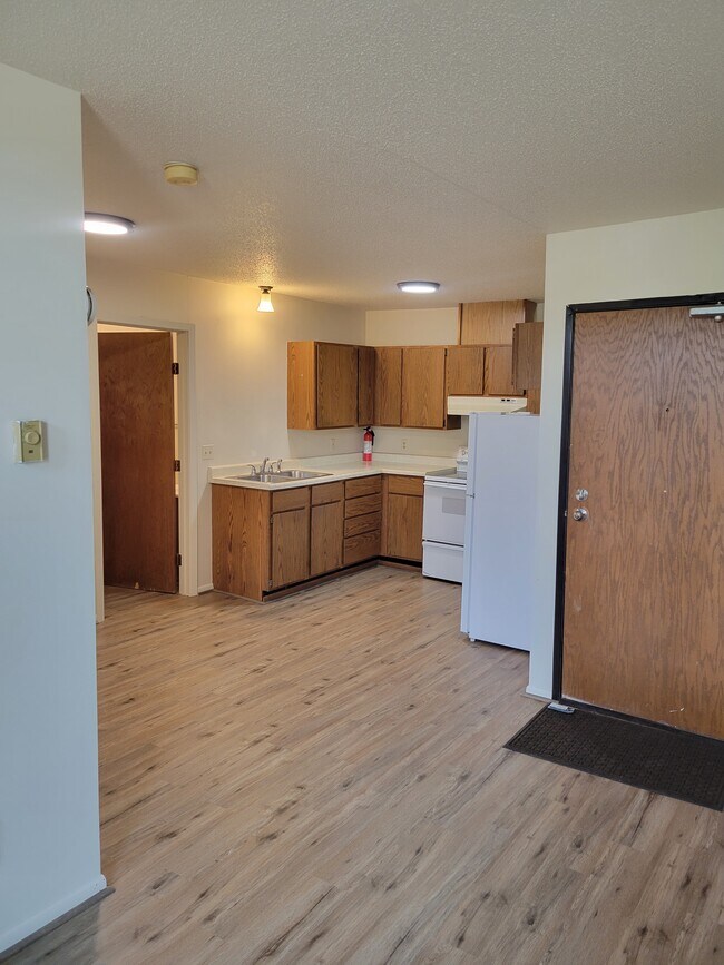313 N Riverfront Dr in Mankato, MN - Foto de edificio - Building Photo