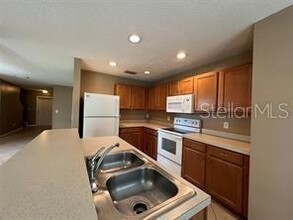 4310 Silver Falls Dr in Land O Lakes, FL - Building Photo - Building Photo