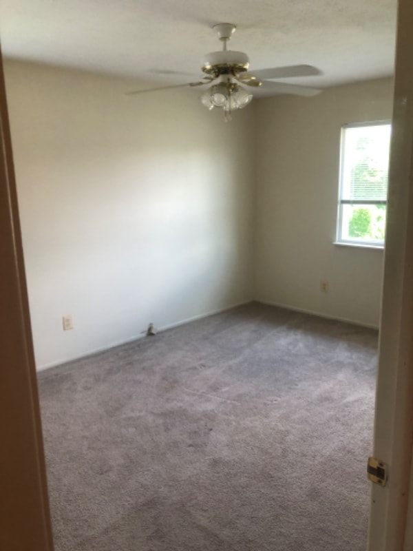 5950 Andrews Rd in Mentor On The Lake, OH - Foto de edificio - Building Photo