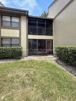 217 Woodlake Wynde in Oldsmar, FL - Building Photo