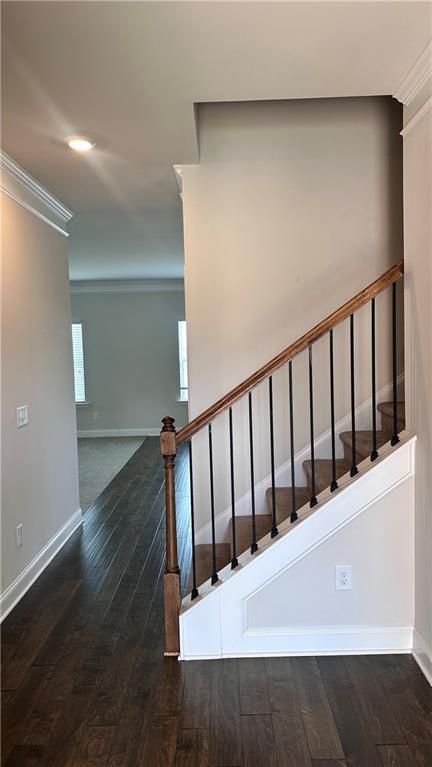 5193 Woodline View Ln in Auburn, GA - Building Photo - Building Photo