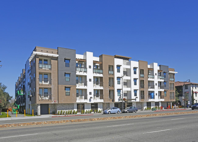 Alexis in Santa Clara, CA - Foto de edificio - Building Photo