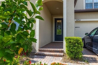 18754 Birchwood Groves Dr in Lutz, FL - Building Photo - Building Photo