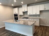 14209 Laughing Gull Dr in Charlotte, NC - Building Photo - Building Photo