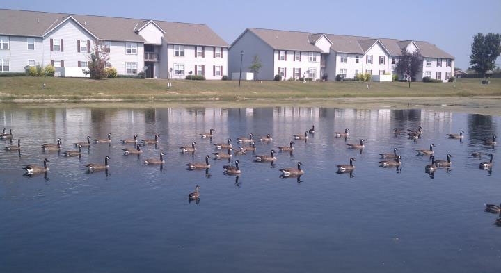 5370 Bridle Creek Way in Hilliard, OH - Building Photo