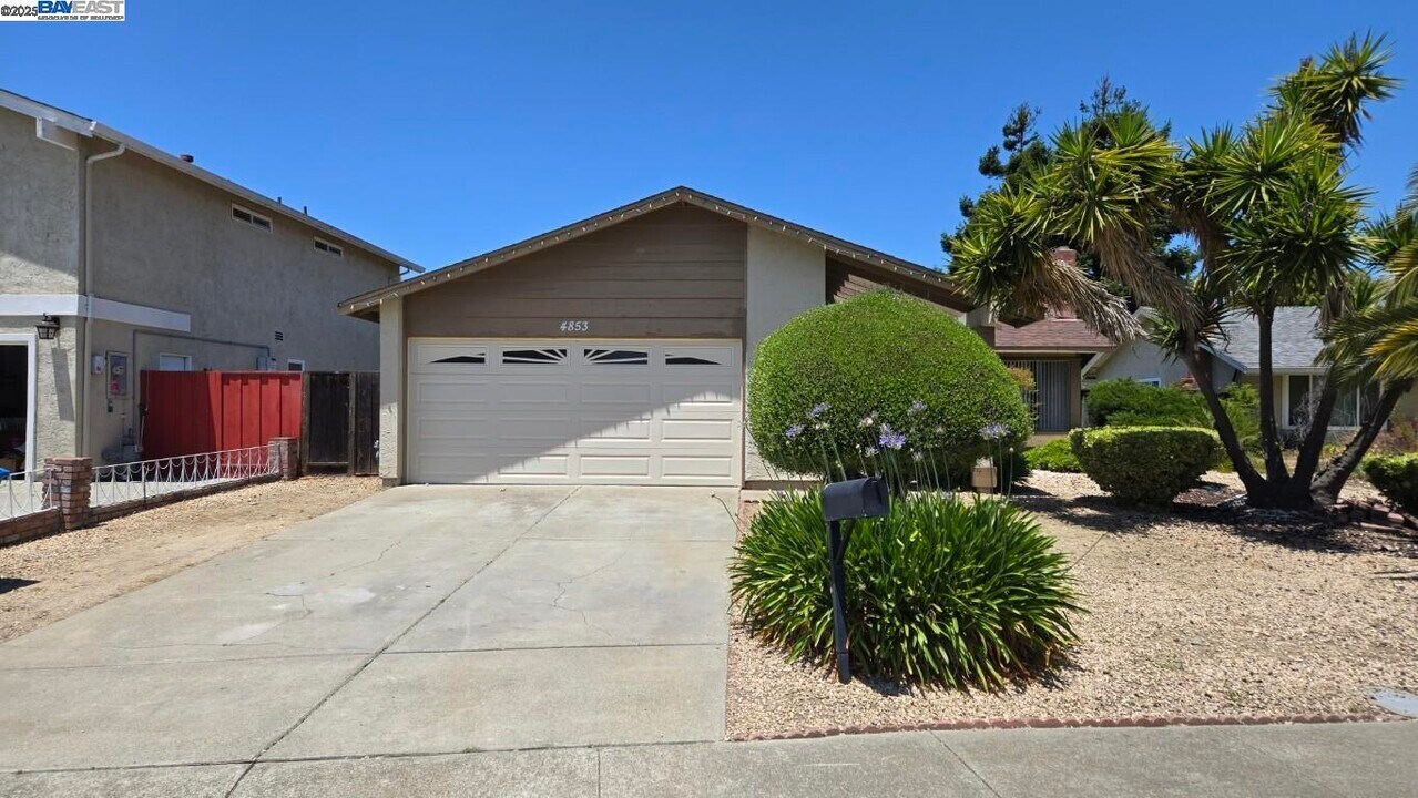 4853 Sally Ct in Union City, CA - Building Photo