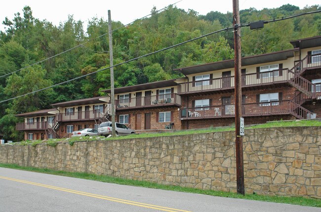 Mitchel Apartments in Charleston, WV - Building Photo - Building Photo