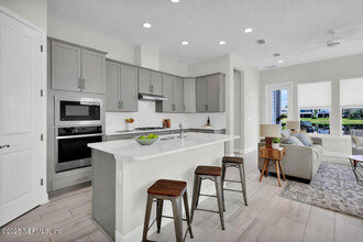 445 Vista Lake Cir in Nocatee, FL - Building Photo - Building Photo