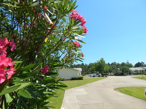 Sawgrass Apartments in Orange Beach, AL - Building Photo - Building Photo