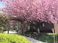 Fountain Gardens in Philadelphia, PA - Foto de edificio - Building Photo