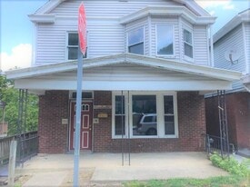 201 Birmingham Ave in Pittsburgh, PA - Building Photo