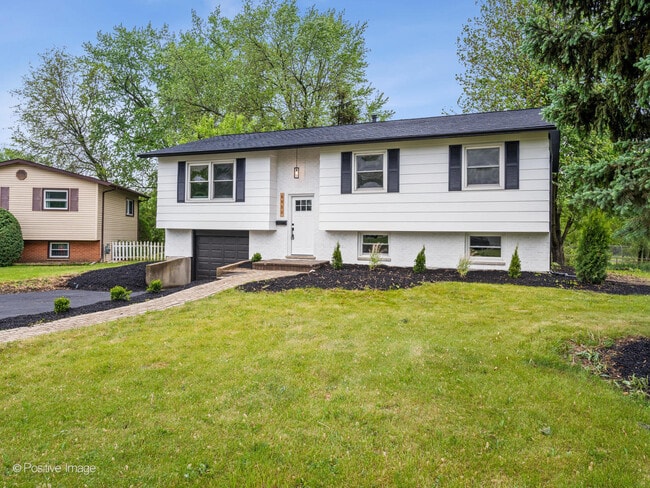6950 Longmeadow Ln in Hanover Park, IL - Building Photo - Building Photo