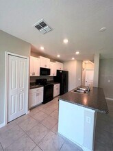 7033 Samuel Ivy Dr in Tampa, FL - Building Photo - Building Photo