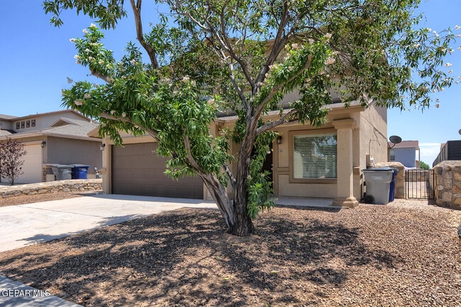 14202 Ranier Point Dr in El Paso, TX - Building Photo - Building Photo